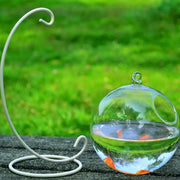 Hanging Glass Vase Fish Tank